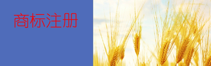 商标注册.jpg